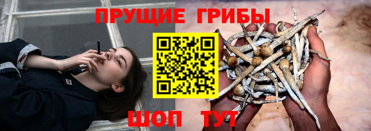 Галлюциногенные грибы Cubensis Соликамск
