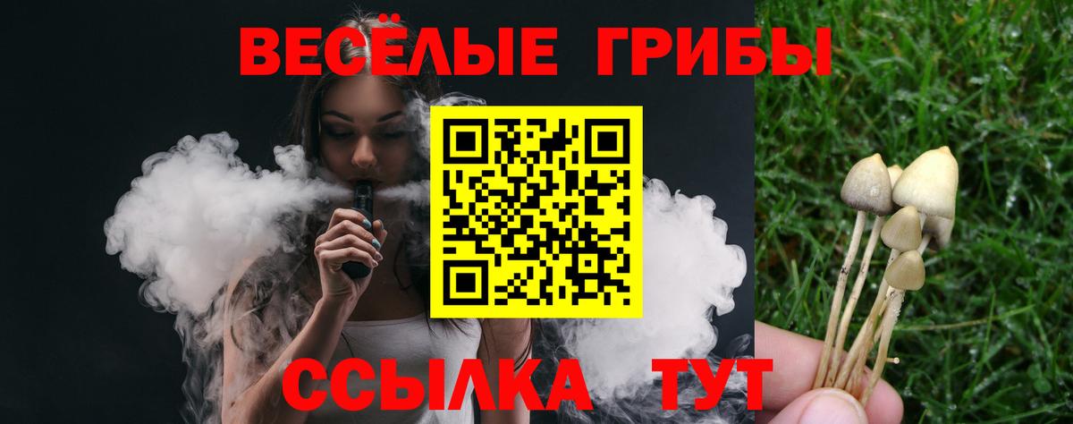 Соликамск  Псилоцибиновые грибы Psilocybine cubensis  Вход с VPN  Галлюциногенные грибы мицелий 